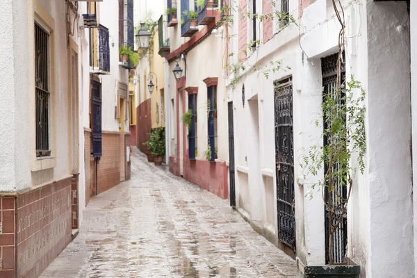 Mahallede santa cruz, Sevilla tipik sokak — Stok fotoğraf