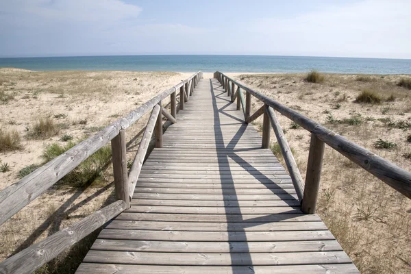 Plaża w el palmar, Kadyks, Andaluzja, Hiszpania — Zdjęcie stockowe