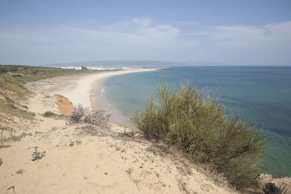 Plaża w barbate, Kadyks, Andaluzja, Hiszpania — Zdjęcie stockowe