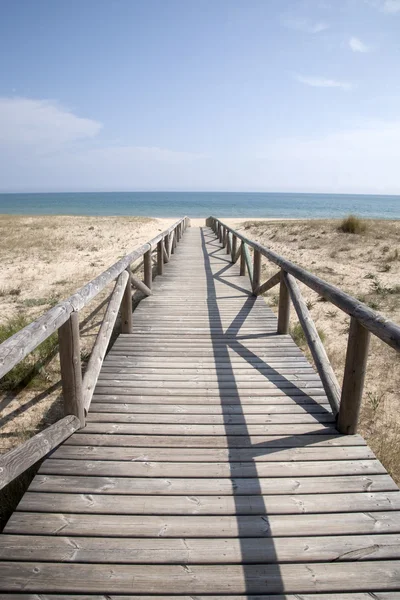 Beach at El Palmar, Cadiz, Andalusia, Spain — Stock Photo, Image