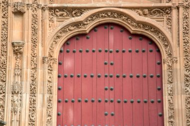 İspanya 'da Yeni Salamanca Katedrali Girişi