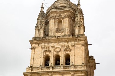 Salamanca Katedrali Kilise Kulesi; İspanya