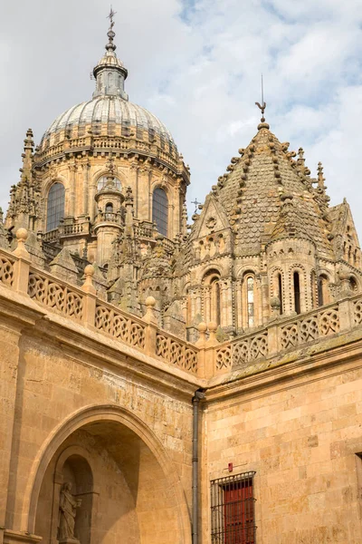 Cathedral Church Tower Salamanca Espanha — Fotografia de Stock