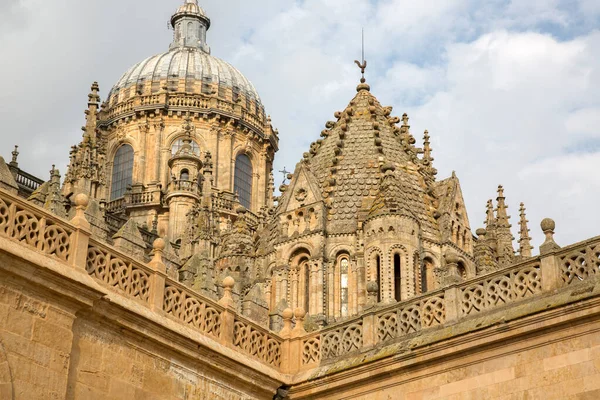 Torre Della Chiesa Cattedrale Salamanca Spagna — Foto Stock