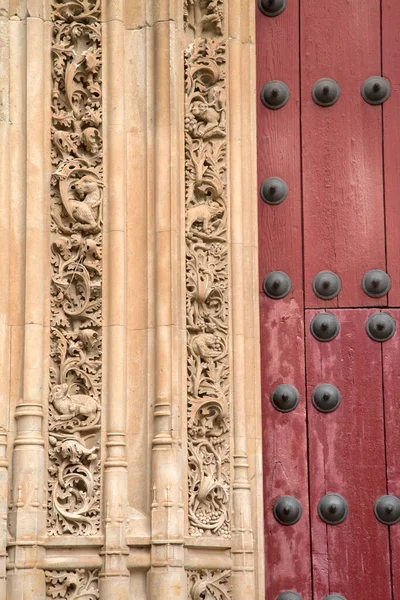 Spanya Daki Salamanca Katedrali Giriş Cephe — Stok fotoğraf