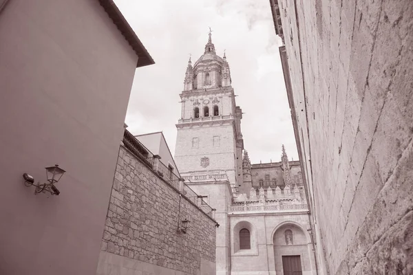 Salamanca Székesegyház Templom Fekete Fehér Sepia Tone — Stock Fotó