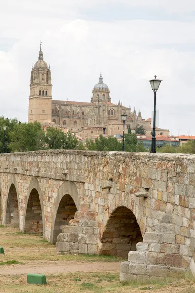 Igreja Ponte Catedral Salamanca Espanha — Fotografia de Stock