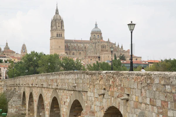 Igreja Ponte Catedral Salamanca Espanha — Fotografia de Stock