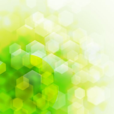 seçici odak ile doğal yeşil cennet arka plan