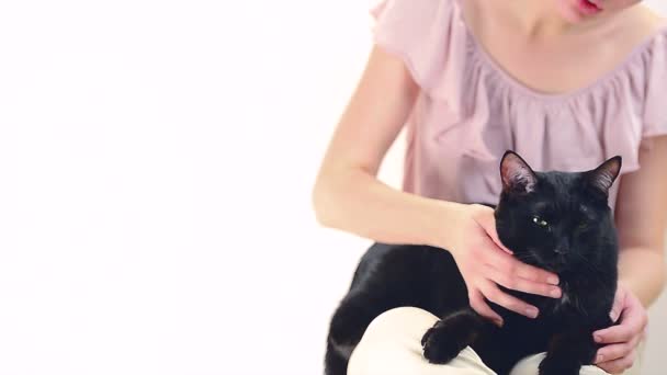 Girl stroking a cat — Stock Video