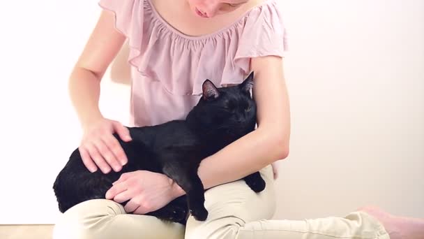 Femme câlinant un chat — Video