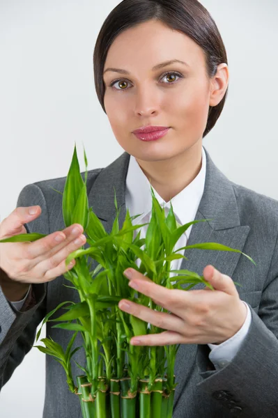 Volwassen zakenvrouw houden gelukkige bamboe plant symbool van succes — Stockfoto