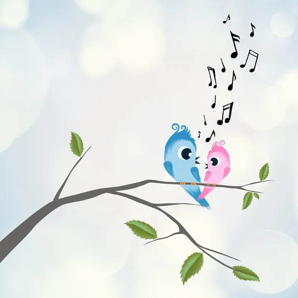 Dvě mouchy, flirtování a zpívá na větvi — Stock fotografie