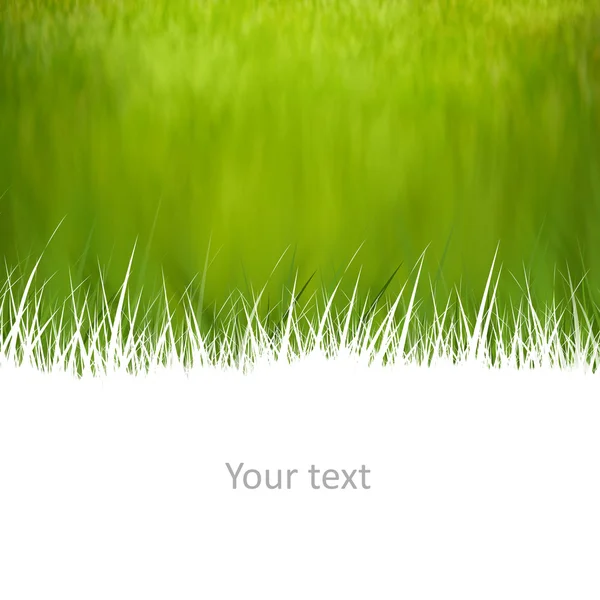 Creatieve natuurlijke achtergrond met ruimte voor uw tekst — Stockfoto