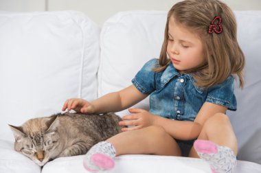 sevimli küçük kız sevmek tekir kedi kedi seyir sevgilerle.