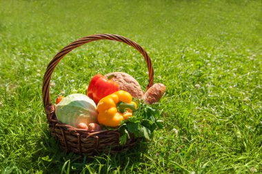 Organik gıda arka plan