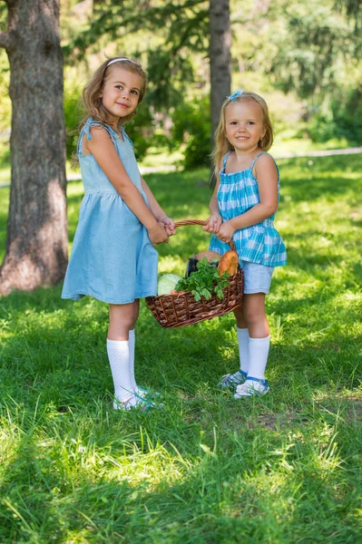 Två små flickor bär korg med ekologiska livsmedel — Stockfoto