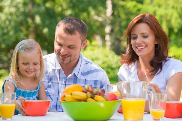 Familjen på picknick — Stockfoto