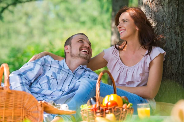 Pareja adulta de picnic —  Fotos de Stock