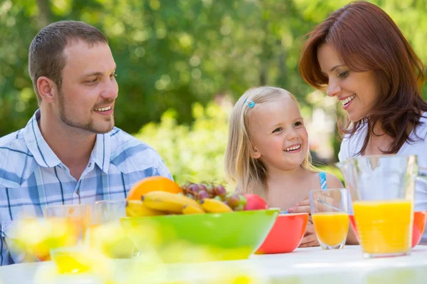 Familie op picknick — Stockfoto