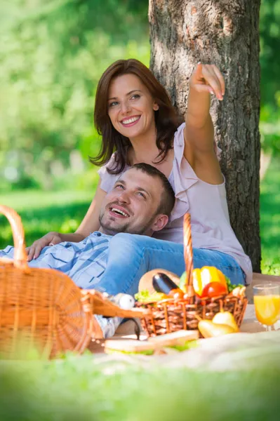 Casal adulto piquenique — Fotografia de Stock