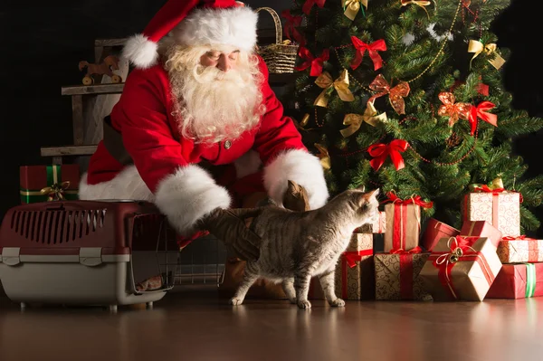 Jultomten att göra en mest önskade gåva till ett barn att placera söt ca — Stockfoto