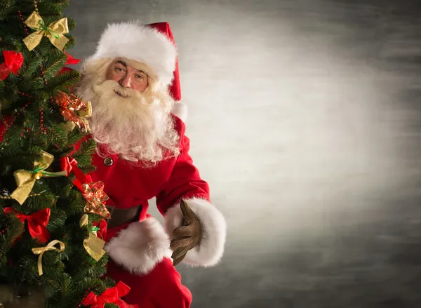 Papai Noel de pé perto da árvore de Natal — Fotografia de Stock