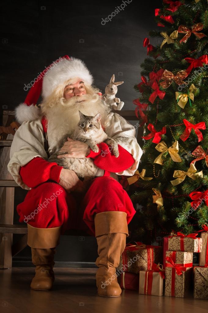 Santa Claus sitting near Christmas tree and embracing his cat — Stock Photo © HASLOO #32363535