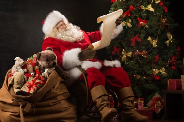 mutlu Noel Baba portresi