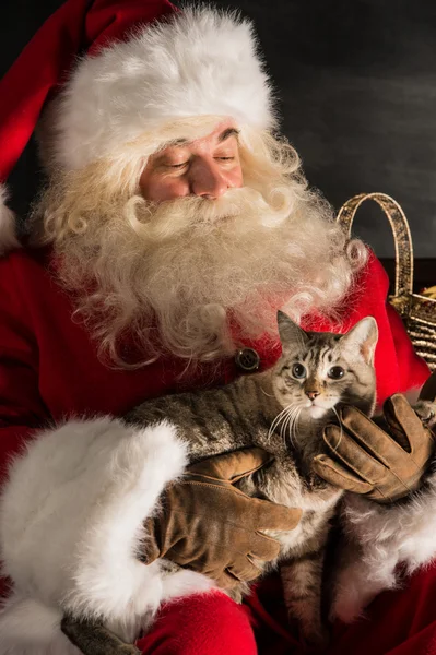 Санта Клаус со своим котом дома — стоковое фото