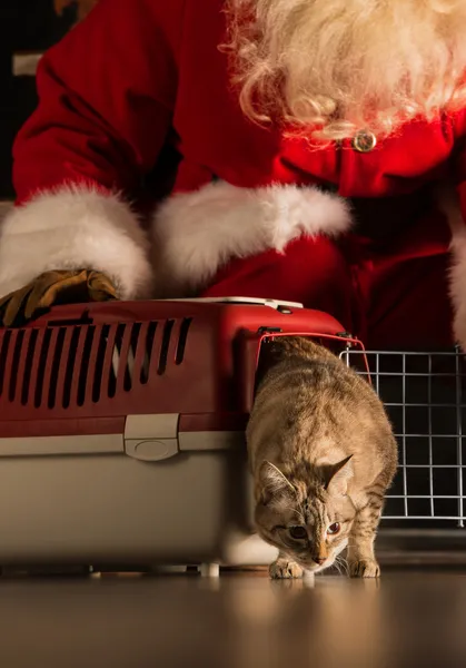 Weihnachtsmann macht ein höchst gewünschtes Geschenk für ein Kind — Stockfoto