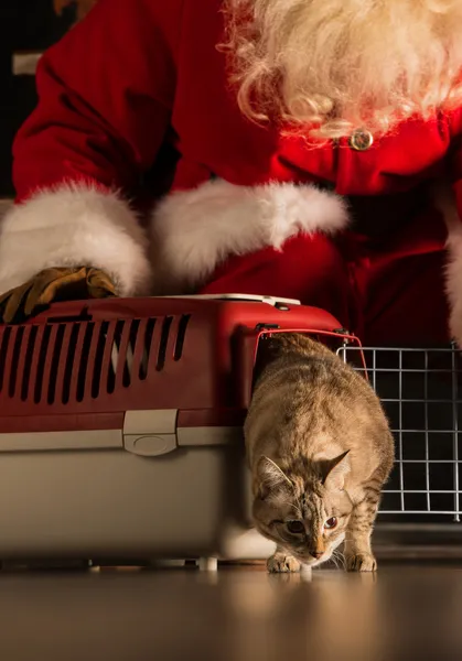 Santa Claus making a most wanted gift to a child — Stock Photo, Image