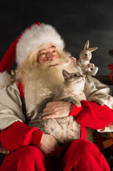 Evde kedi onun ile Noel Baba — Stok fotoğraf