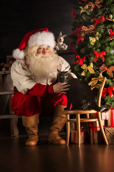 Papai Noel com seu gato em casa — Fotografia de Stock