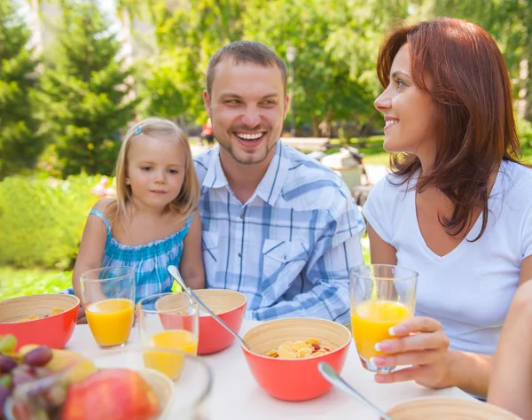 Family eating together outdoors at summer park or backyard — Stock Photo, Image