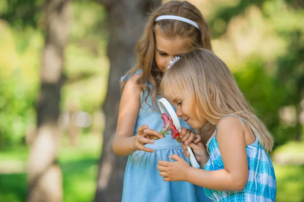 Children with a magnifying glass — Stock Photo, Image