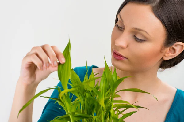 Kadın holding şanslı bambu bitki — Stok fotoğraf