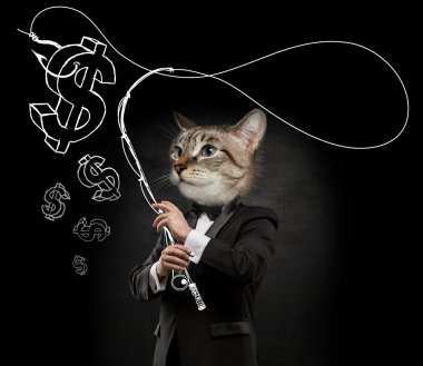 iş adamı kedi kafası