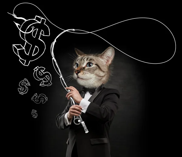 Hoofd Business man kat — Stockfoto