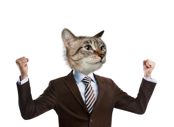 Hombre de negocios cabeza de gato — Foto de Stock