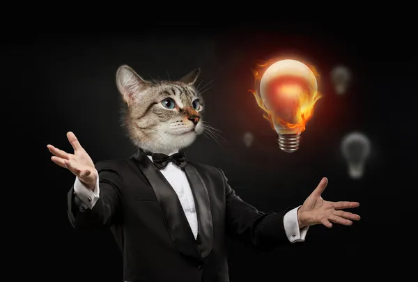 Business man cat head bulb idea — Stock Photo, Image