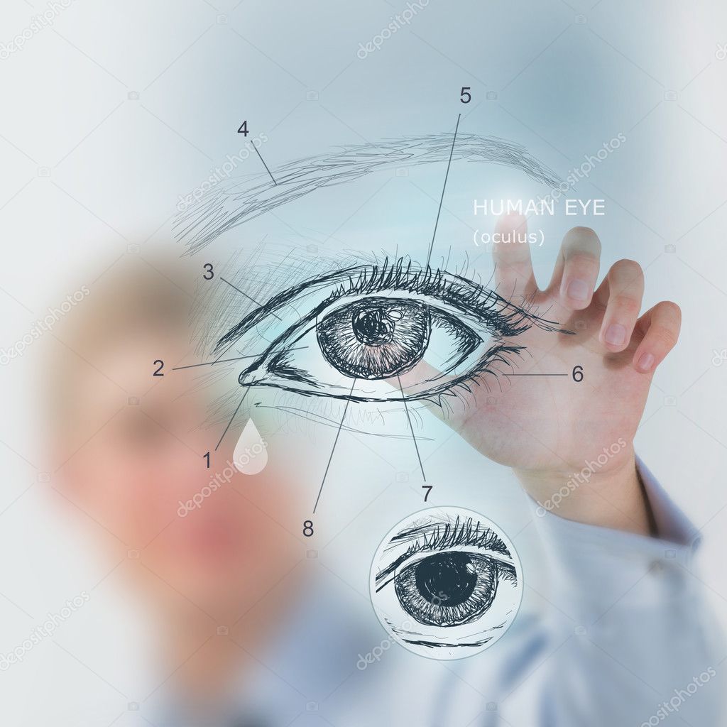 Doctor working with virtual interface eye