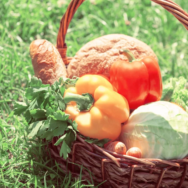 A harvest of seasnon vegetables and bread — Stock Photo, Image