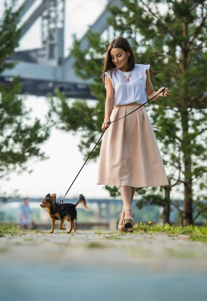 Ragazza passeggiando con il suo cane — Foto Stock