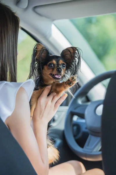 Woman and dog in car — Stock Photo, Image