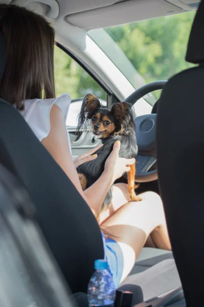 Frau und Hund im Auto — Stockfoto