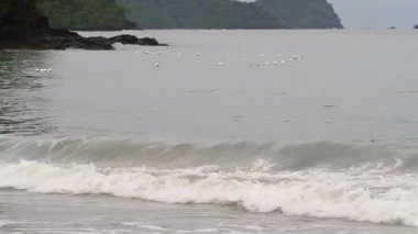 dalga ve şamandıra