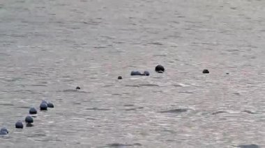 gün batımı suda şamandıra