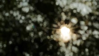 Bölüm 2, çekim Güneş bokeh kaymak