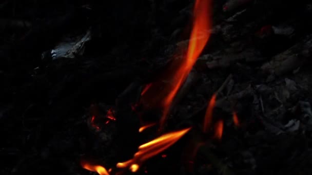 Пожежа полум'я повільний рух — стокове відео